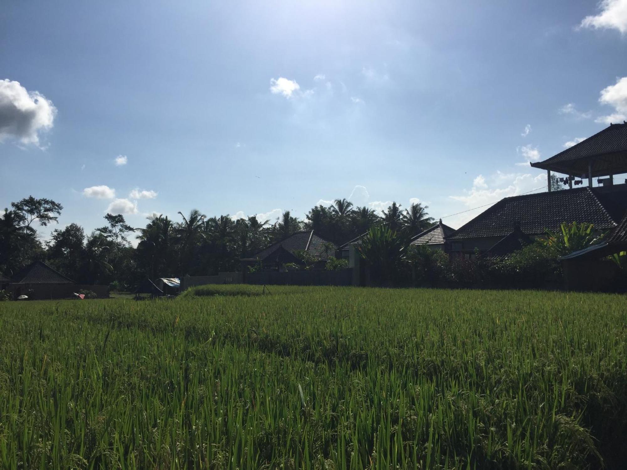 Ratna Villa Убуд Стая снимка