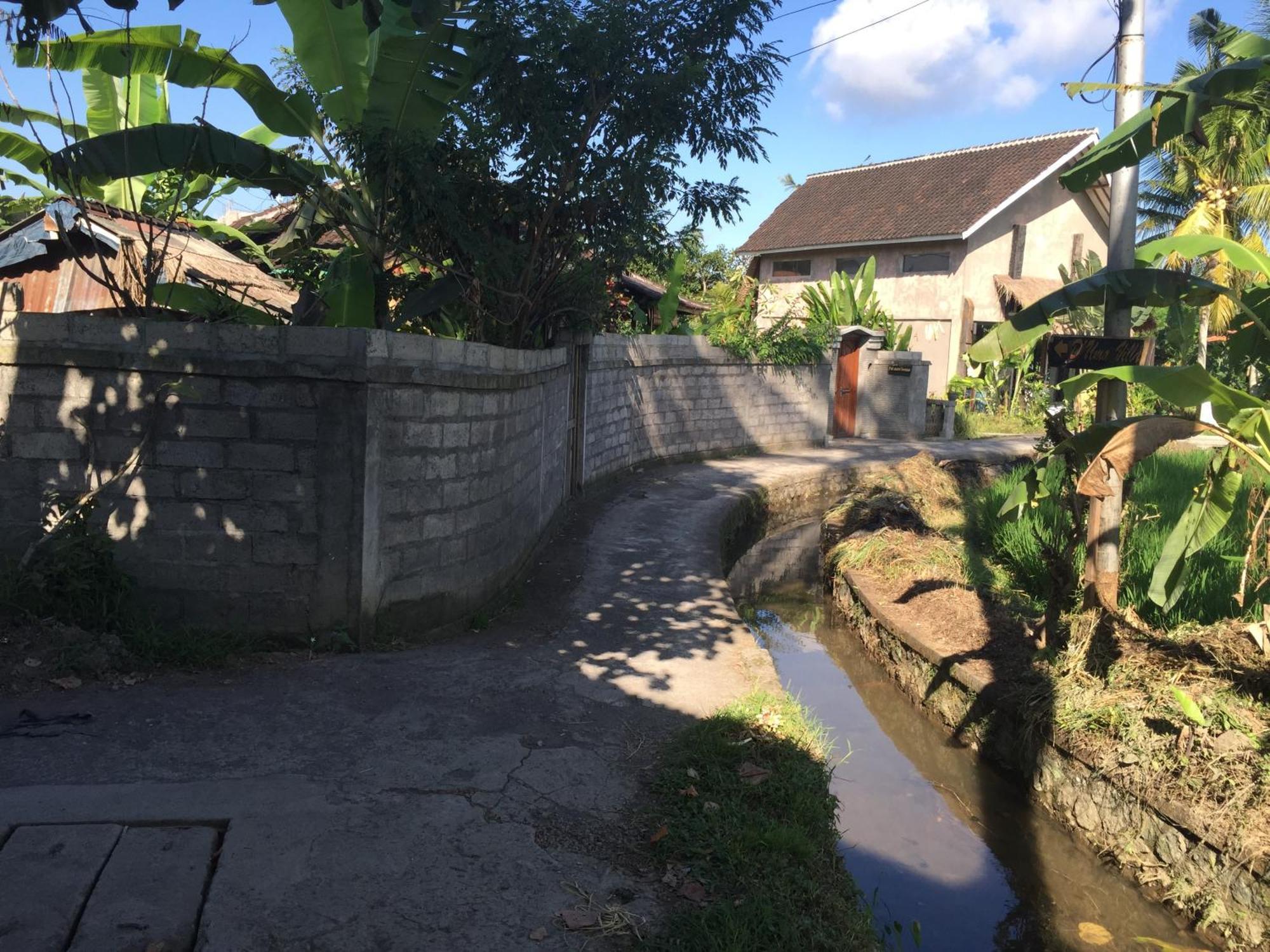 Ratna Villa Убуд Стая снимка